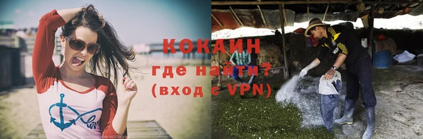 твердый Ельня