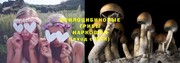apvp Елизово