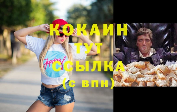 твердый Ельня