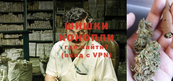 твердый Ельня