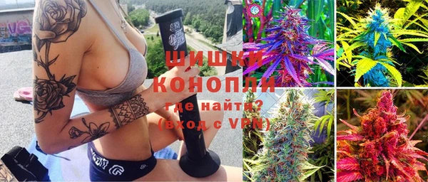 твердый Ельня