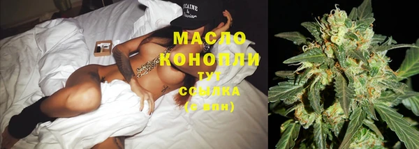спиды Дмитриев